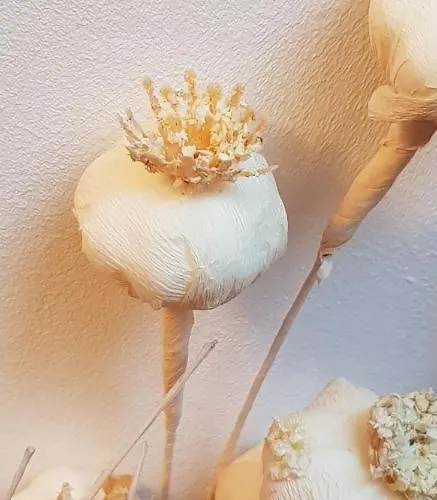 Auszeit Am Traunsee Apartment *