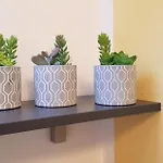 Auszeit Am Traunsee Altmünster